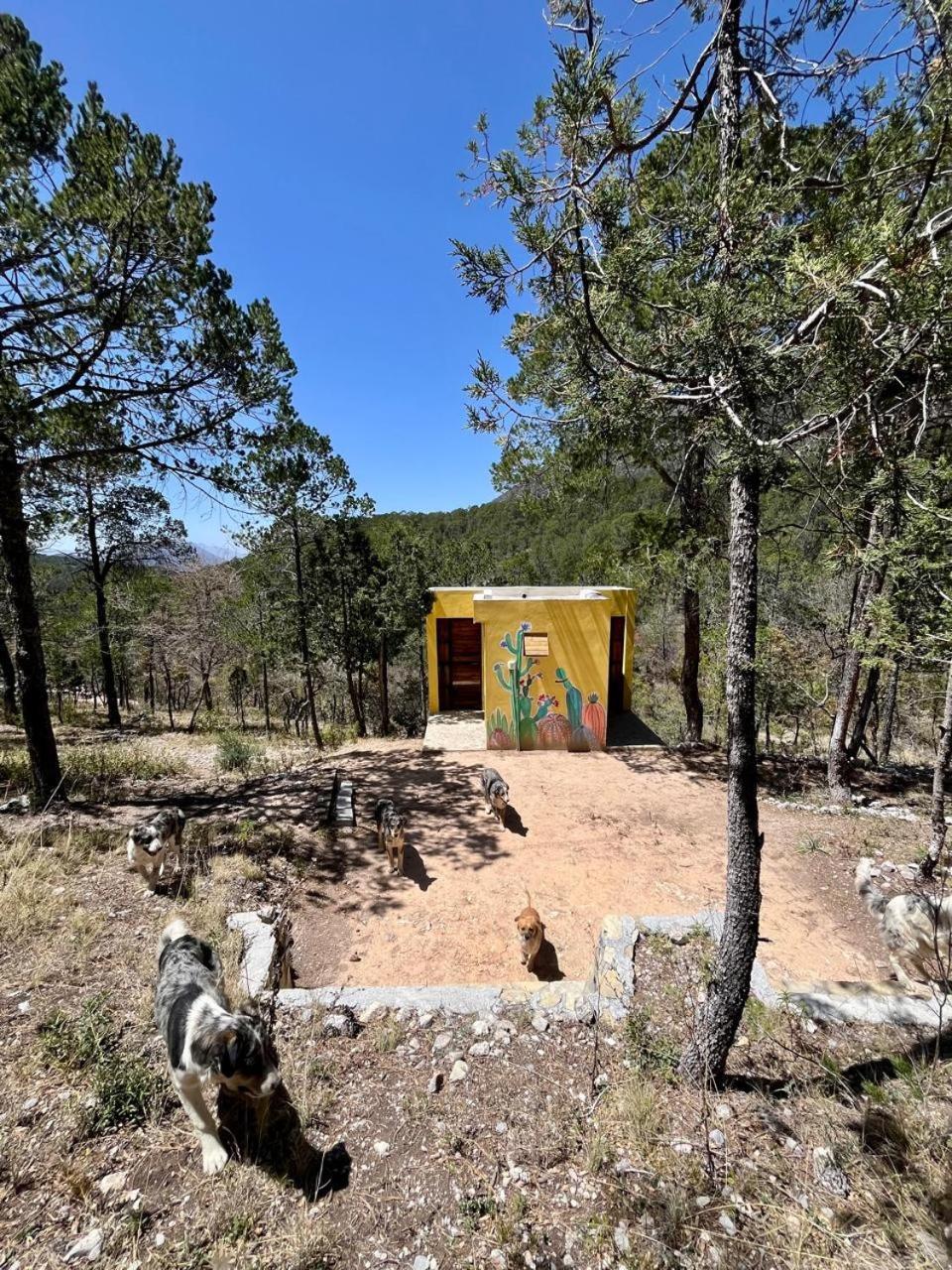 Camping En La Sierra De Arteaga Los Lirios Exterior photo